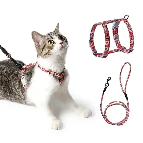 Katzengeschirr mit Blumenmuster und Leine von PETTOM