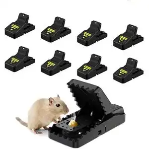 Mausefalle Awroutdoor Profi 8er Set für effektiven Mäusefang