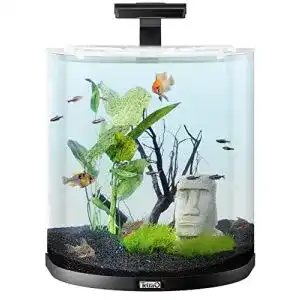 rundes Aquarium