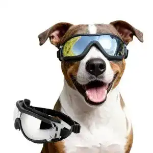 Sonnenbrille für Hunde Namsan – Einstellbare Hundebrille für Augenschutz
