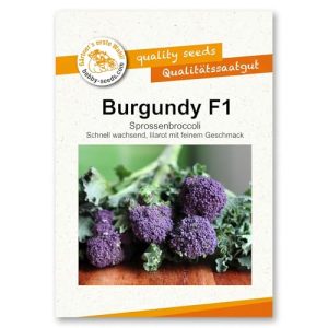 Brokkoli-Samen Stängelbrokkoli von Bobby-Seeds – Burgundy Kohlsamen