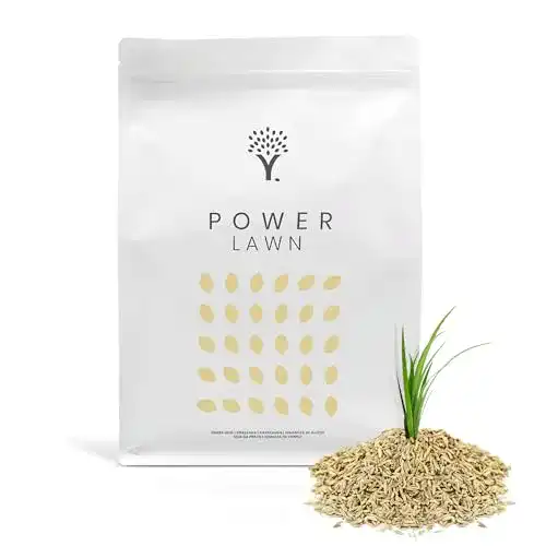 Rasensamen schnellkeimend Moowy Sommer Power Rasensamen