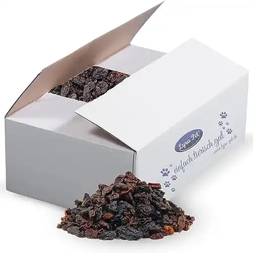 Rosinen für Vögel Lyra Pet 10 kg Futterrosinen für Wildvögel