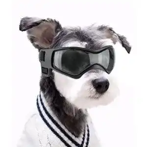 Sonnenbrille Hund