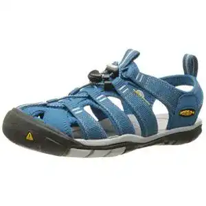 41eendhmBFL. SL500 