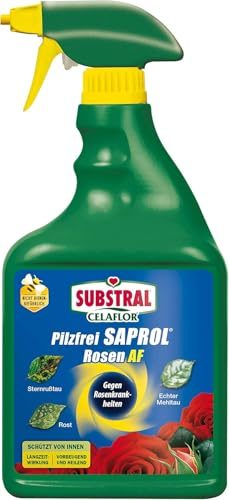 Rosen-Pilzfrei Substral Celaflor Pilzfrei Saprol Rosen AF 750ml Spray