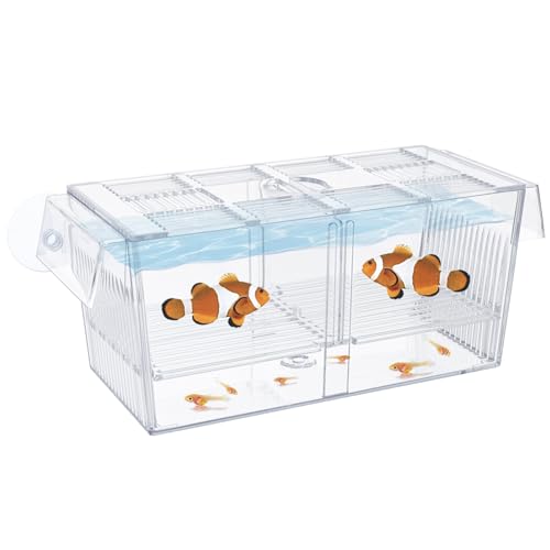 Fischzuchtbecken Pawfly Acrylic Laichkasten für Aquarien