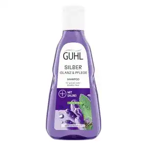 Guhl Silberglanz & Pflege Shampoo 250 ml für graues und blondes Haar