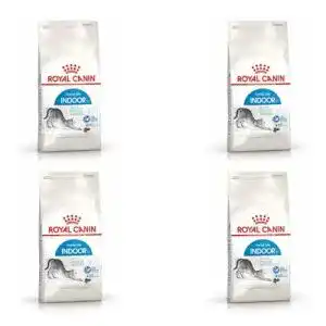 Royal-Canin-Trockenfutter Katze