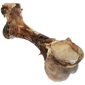 Kauknochen für Hunde Nobby Rinderknochen XXL, 1 Stück (1800 – 2300 g)