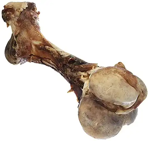Kauknochen für Hunde Nobby Rinderknochen XXL, 1 Stück (1800 – 2300 g)