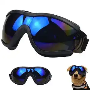 41hcO3CynXL. SL500 