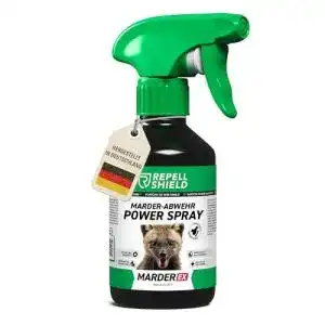 41hgJQsVTLL. SL500 