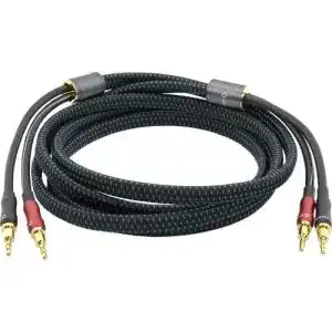 41i6Ws9mKkL. SL500 
