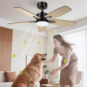 Deckenventilator Holz Airwit 106 cm mit Beleuchtung und Fernbedienung