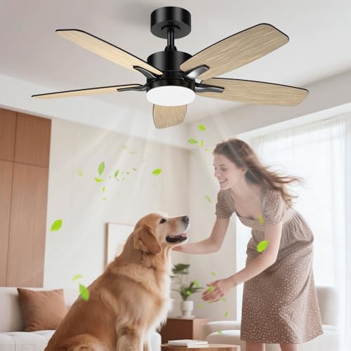 Deckenventilator Holz Airwit 106 cm mit Beleuchtung und Fernbedienung