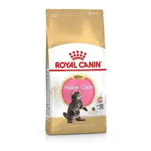 Royal Canin Feline Kitten Maine Coon 36 Katzenfutter 400g