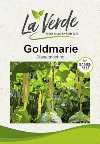 Stangenbohnen-Samen Goldmarie für den Garten
