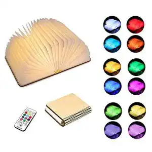 Buchlampe