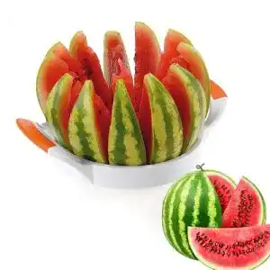 Westmark Melonenschneider mit Klingenschutz für gleichmäßige Stücke