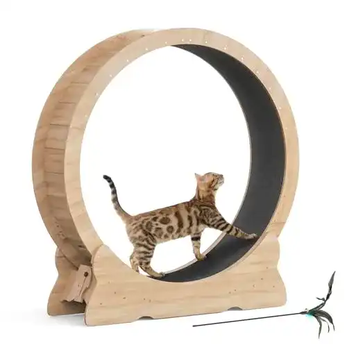 Katzenlaufrad Mondeer für Indoor-Katzen, 110 cm Laufband