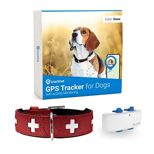 GPS-Tracker für Hunde: HUNTER Halsband in Rot/Schwarz, Größe L