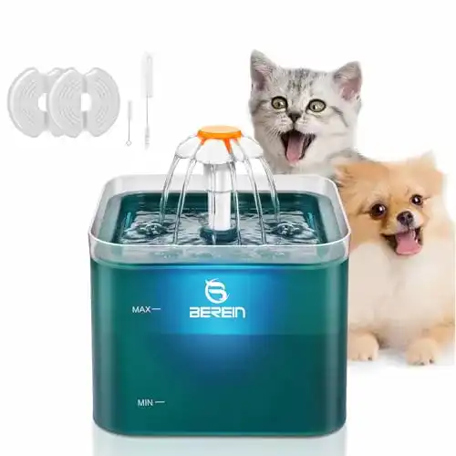 Trinkbrunnen für Hunde und Katzen von Berein mit 2L Fassungsvermögen