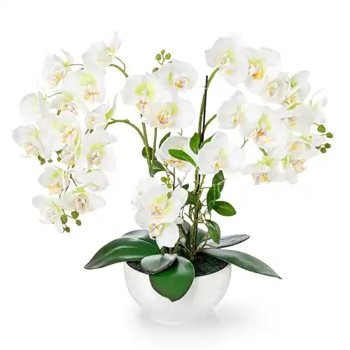 Künstliche Orchidee XXL im Hochglanz-Keramiktopf (56 cm)