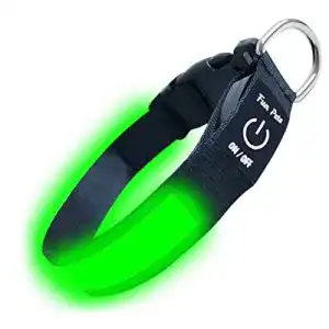 Hunde Leuchthalsband Fun Pets LED-Hundehalsband in Grün