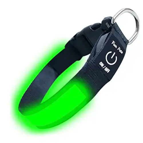 Hunde Leuchthalsband Fun Pets LED-Hundehalsband in Grün