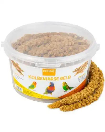 Kolbenhirse Petifool gelb 500g – Einzelfuttermittel für Ziervögel