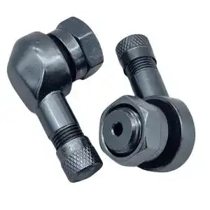 41ml0FnMXRL. SL500 