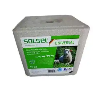 41n1sfHLobL. SL500 