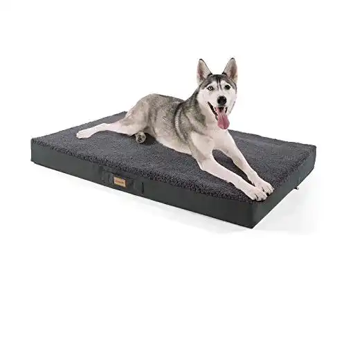 Orthopädisches Hundebett Balu in Grau für besten Komfort