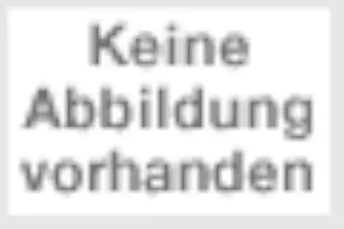 Ballpumpe Racetex mit Zubehör und wetterfester Verarbeitung