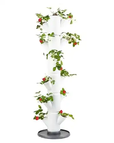 Pflanzturm Gusta Garden Sissi Strawberry Erdbeerbaum Classic Weiß