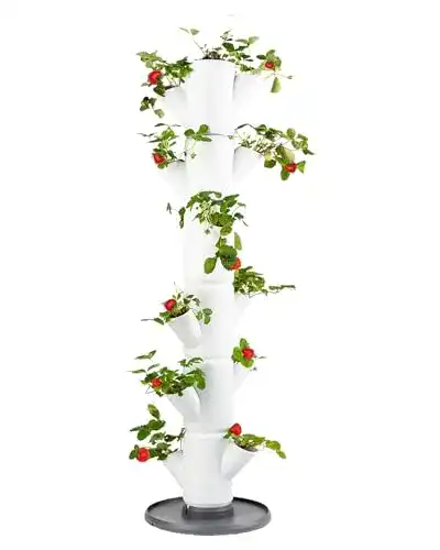 Pflanzturm Gusta Garden Sissi Strawberry Erdbeerbaum Classic Weiß