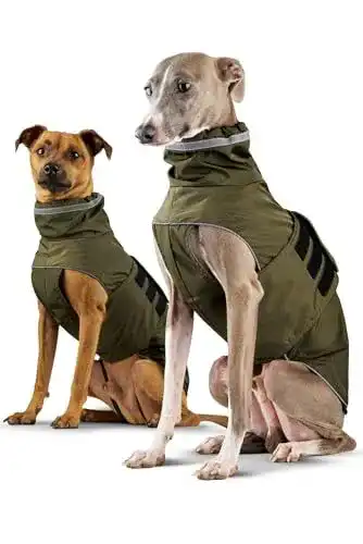 Hunde-Regenmantel Zauberpfote – Wasserdichter Hundemantel für alle Größen