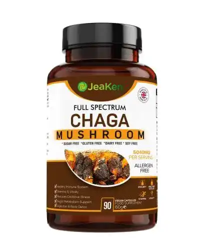 Chaga JeaKen Pilz Kapseln – Vollspektrum Inonotus Obliquus