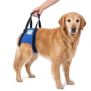 Tragehilfe für Hunde von Nature Pet – Verstellbarer Tragegurt für Hinterhand