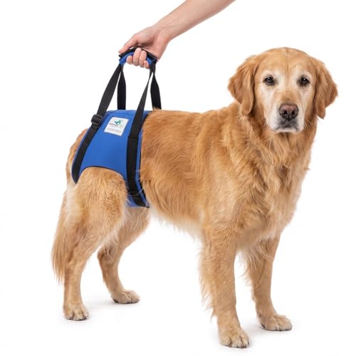 Tragehilfe für Hunde von Nature Pet – Verstellbarer Tragegurt für Hinterhand