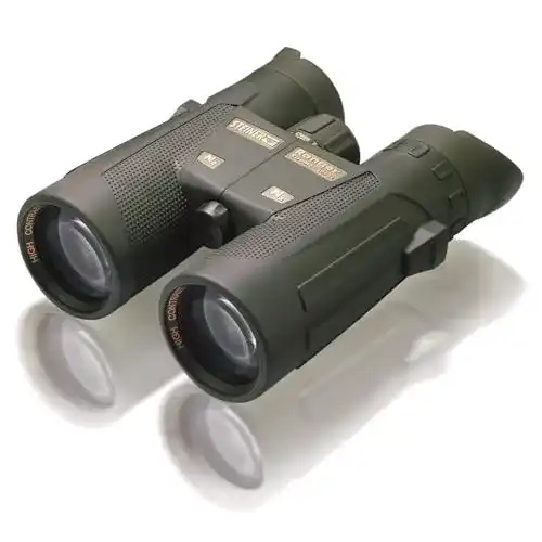 Fernglas 10×42 Steiner Ranger Xtreme für Jagd und Naturbeobachtung