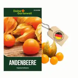 Physalis-Samen für die Anzucht von Andenbeeren