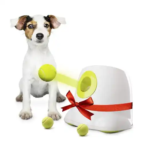 Automatische Ballwurfmaschine für Hunde von BlueRoad BOT