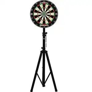 41rbBSBPlfS. SL500 