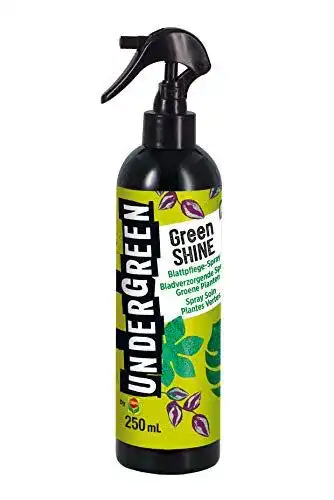 Blattglanzspray Undergreen von Compo Green Shine