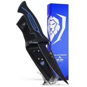 41sZo8PL3oL. SL500 