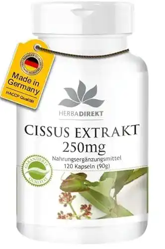 Cissus quadrangularis Kapseln 250mg – 120 vegane Kapseln