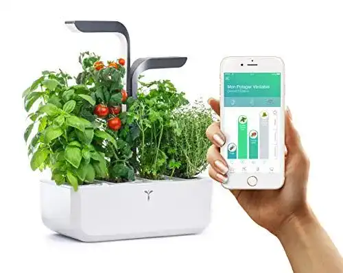 Véritable Connect Garden – Indoor Garten mit automatischer Bewässerung