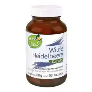 Heidelbeerextrakt